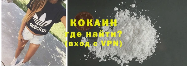 стафф Елизово