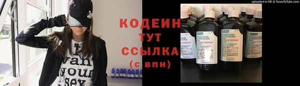 стафф Елизово