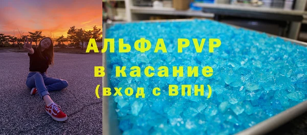 стафф Елизово