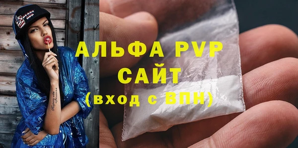 стафф Елизово