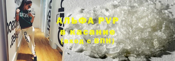 стафф Елизово