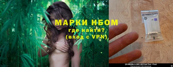 стафф Елизово