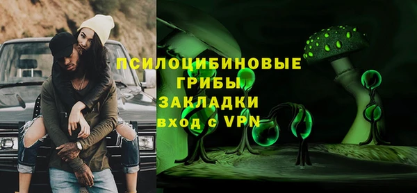 стафф Елизово